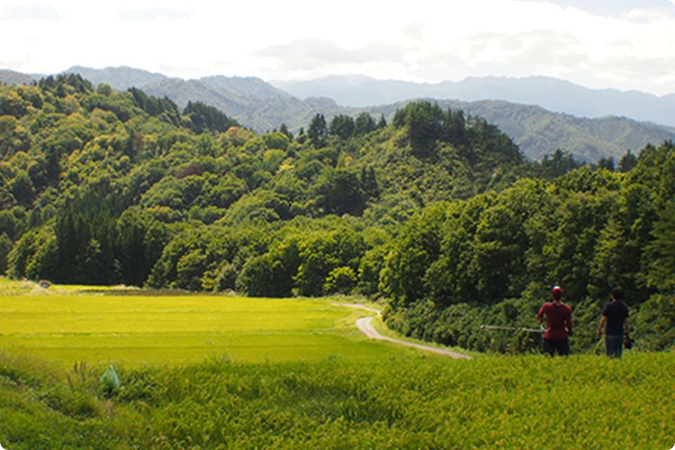 田園風景