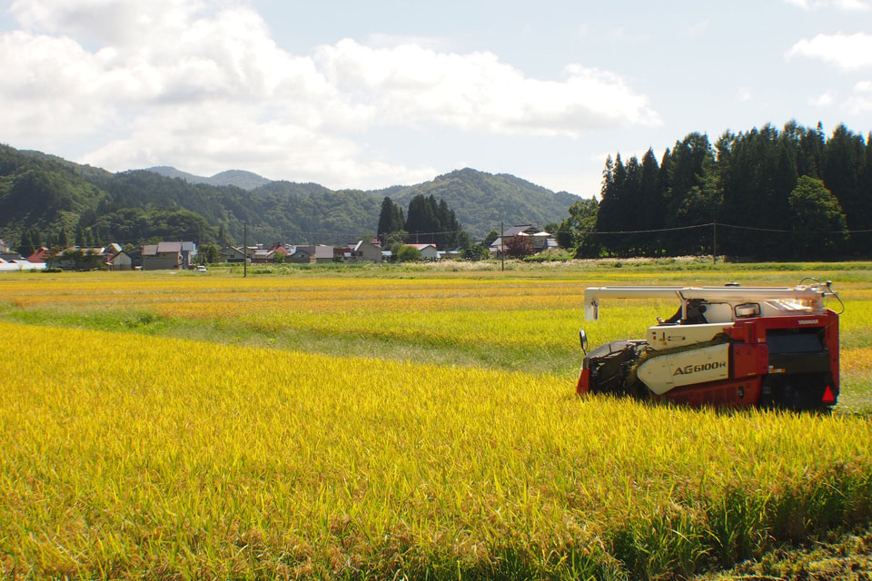 田園風景